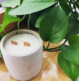 Double wick concrete candle